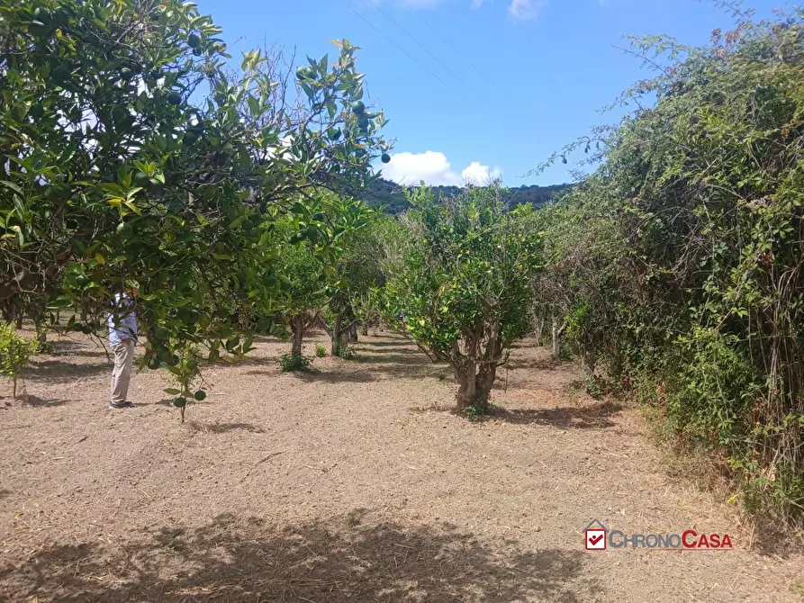 Immagine 10 di Terreno edificabile in vendita  a Pace Del Mela