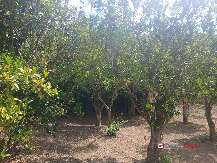 Immagine 2 di Terreno edificabile in vendita  a Pace Del Mela