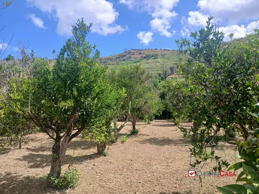 Immagine 6 di Terreno edificabile in vendita  a Pace Del Mela