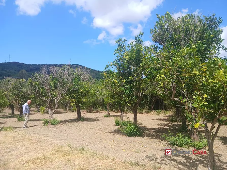 appartamento in vendita a Pace del Mela