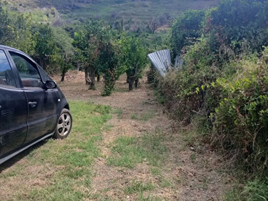 Immagine 5 di Terreno edificabile in vendita  a Pace Del Mela