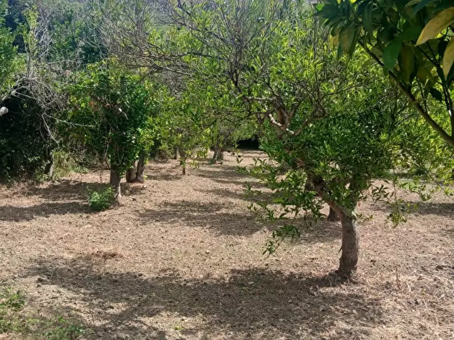 Immagine 4 di Terreno edificabile in vendita  a Pace Del Mela
