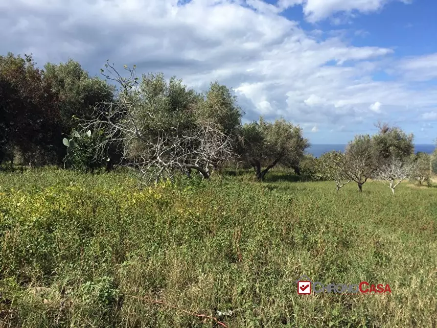 Immagine 7 di Terreno edificabile in vendita  a Messina