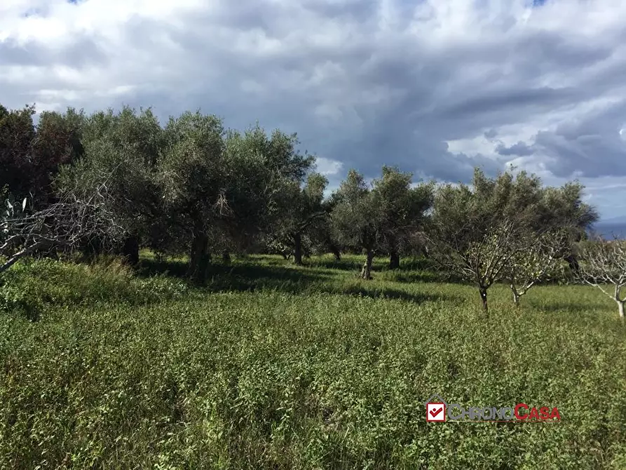 Immagine 8 di Terreno edificabile in vendita  a Messina