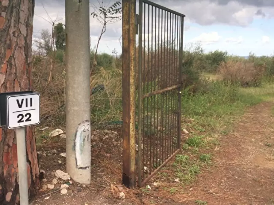Immagine 3 di Terreno edificabile in vendita  a Messina