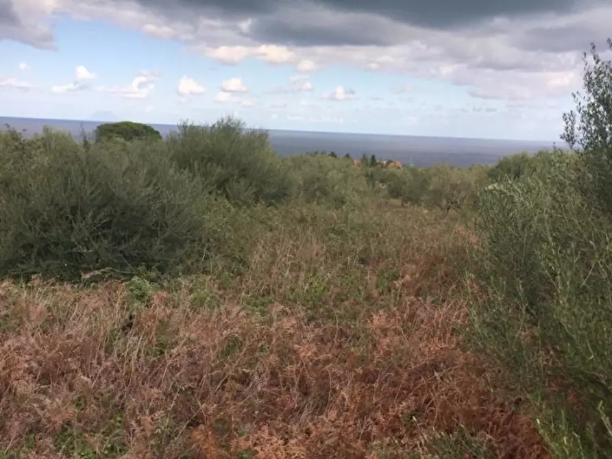 Immagine 8 di Terreno edificabile in vendita  a Messina