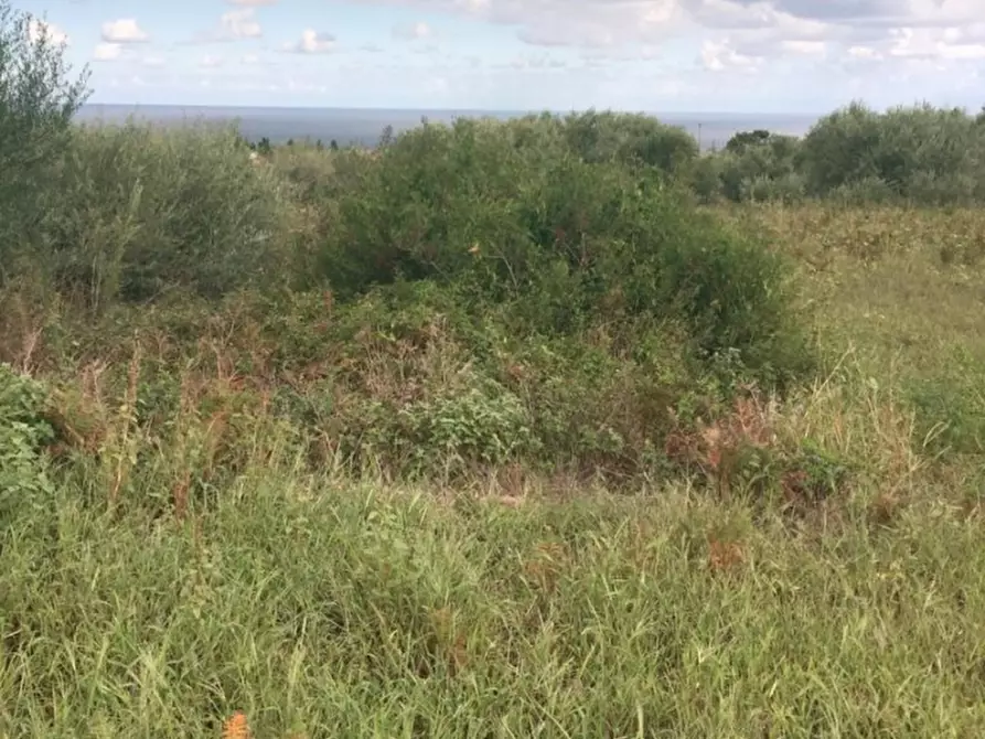 Immagine 10 di Terreno edificabile in vendita  a Messina