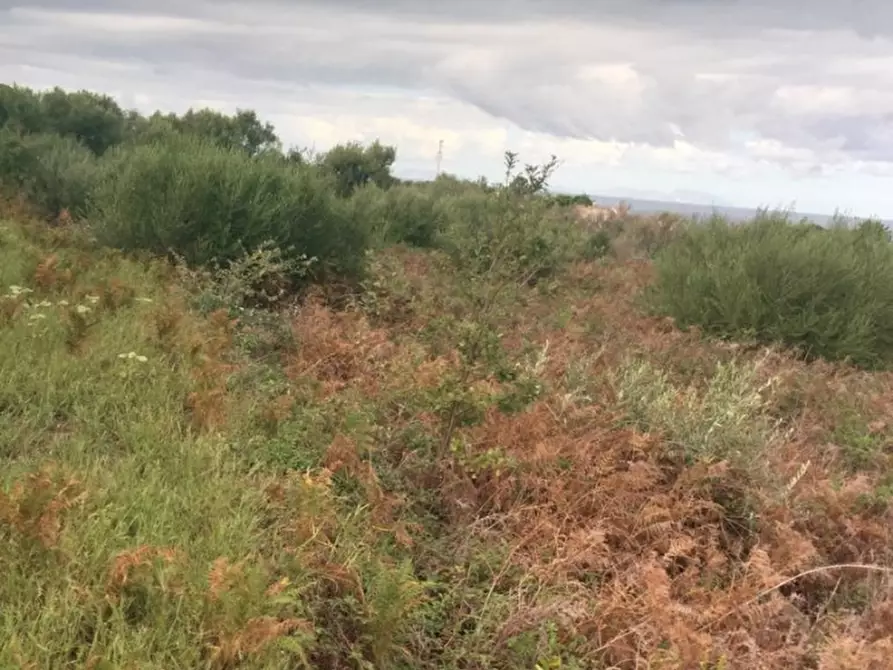 Immagine 6 di Terreno edificabile in vendita  a Messina