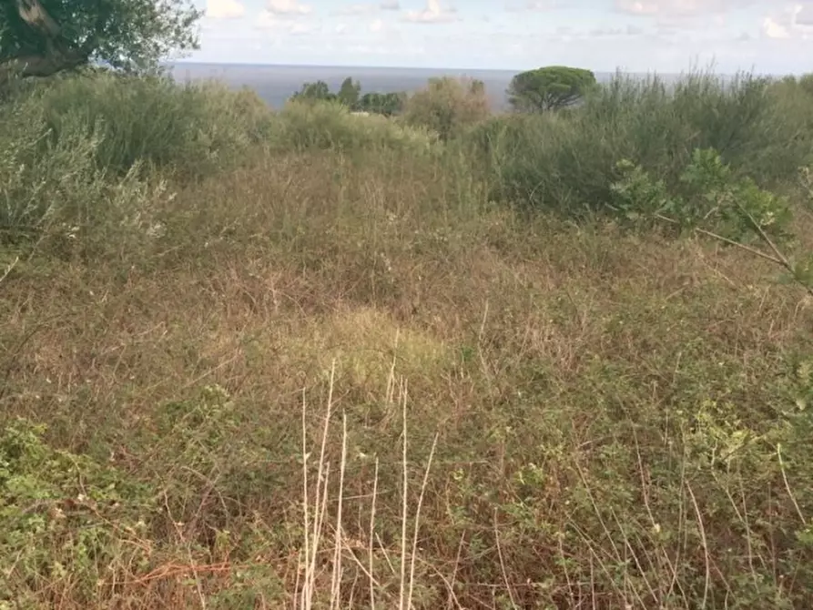 Immagine 5 di Terreno edificabile in vendita  a Messina