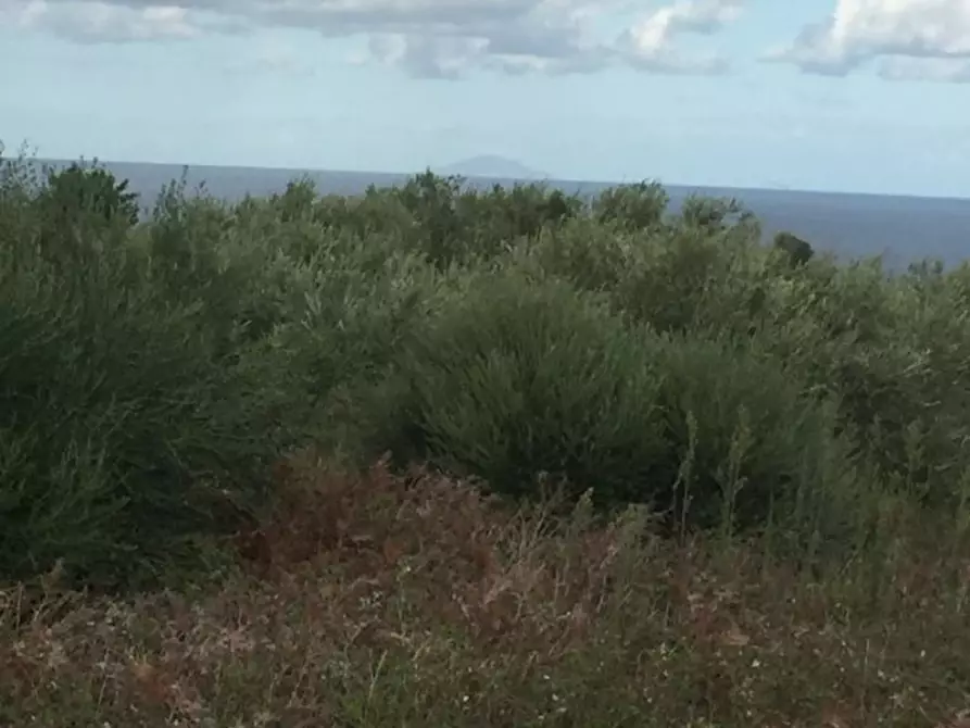 Immagine 2 di Terreno edificabile in vendita  a Messina