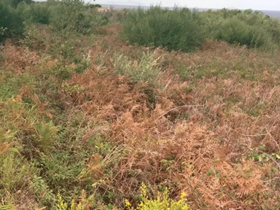 Immagine 7 di Terreno edificabile in vendita  a Messina