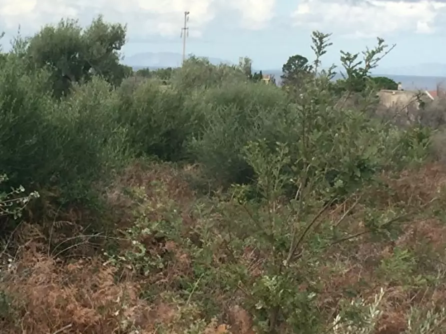Immagine 9 di Terreno edificabile in vendita  a Messina