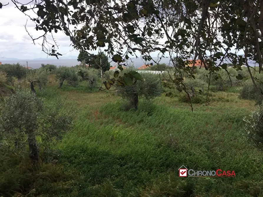 Immagine 6 di Terreno edificabile in vendita  a Messina