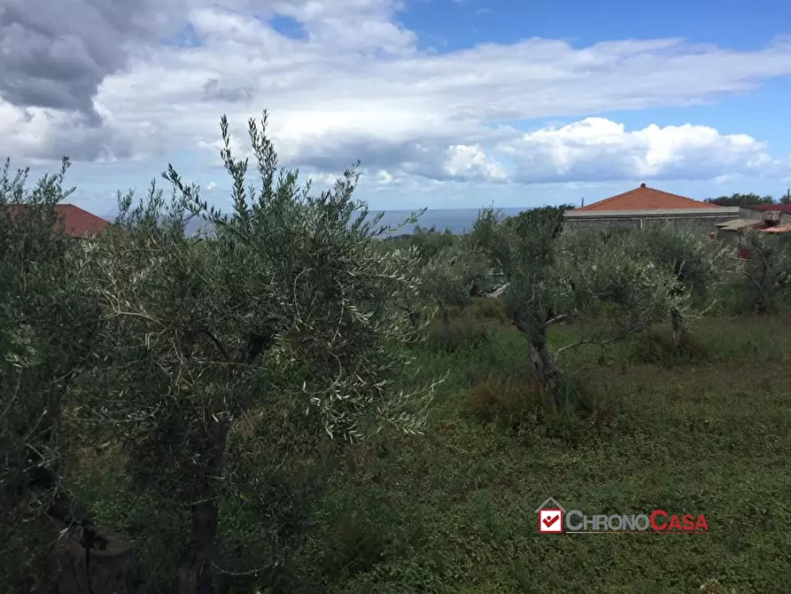 Immagine 3 di Terreno edificabile in vendita  a Messina