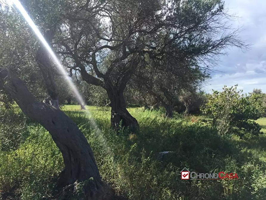 Immagine 2 di Terreno edificabile in vendita  a Messina