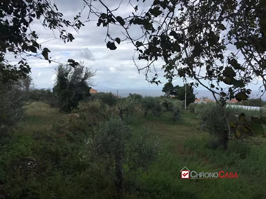 Immagine 7 di Terreno edificabile in vendita  a Messina