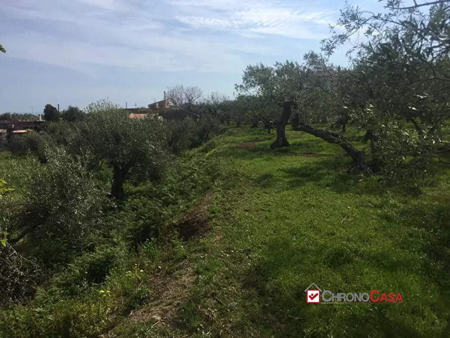 Immagine 9 di Terreno edificabile in vendita  a Messina