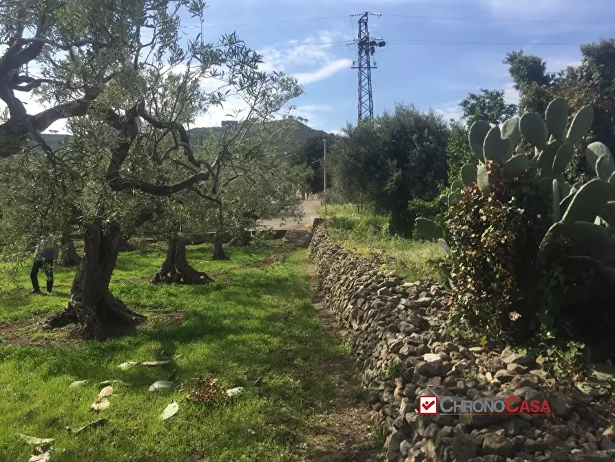 Immagine 8 di Terreno edificabile in vendita  a Messina