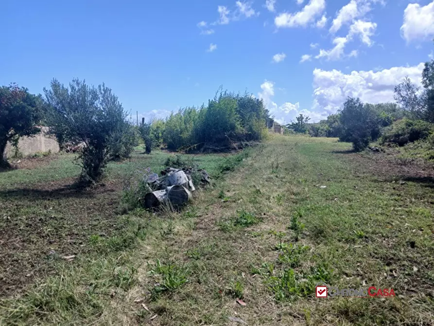 Immagine 9 di Terreno edificabile in vendita  a Messina