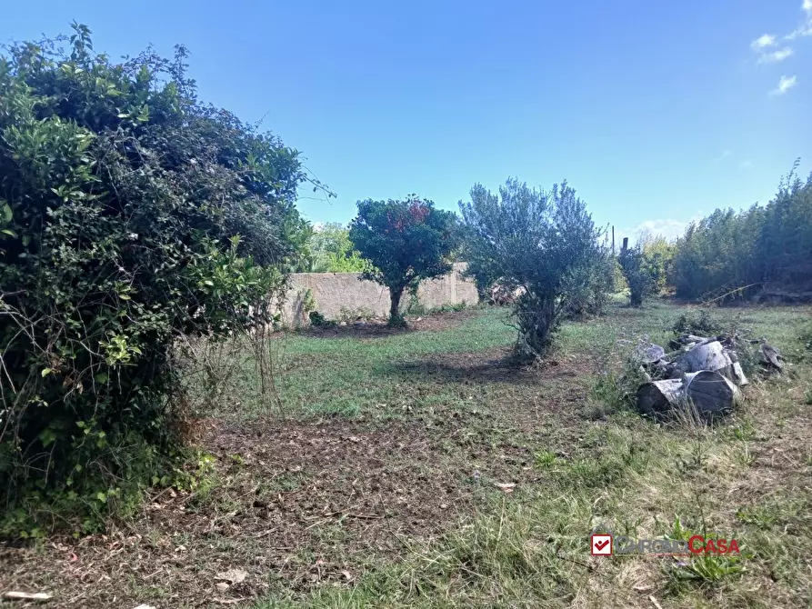 Immagine 8 di Terreno edificabile in vendita  a Messina