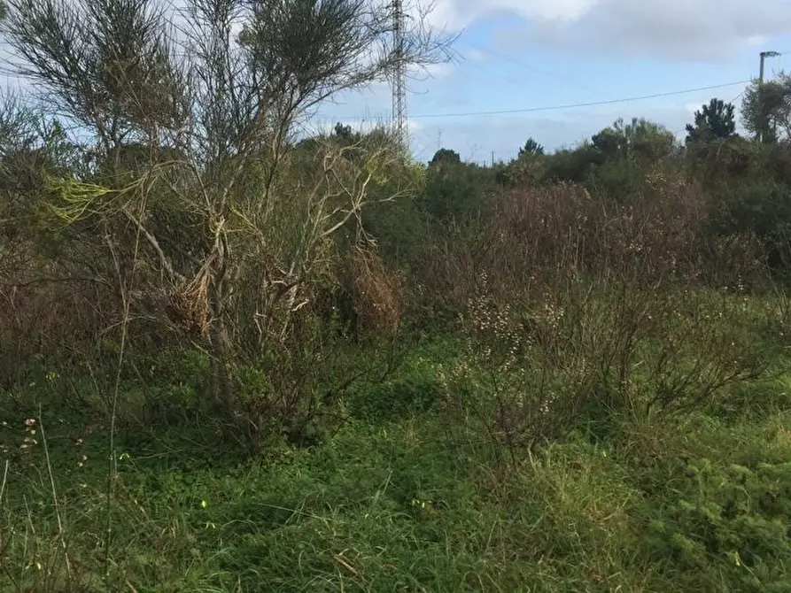 Immagine 5 di Terreno edificabile in vendita  a Messina