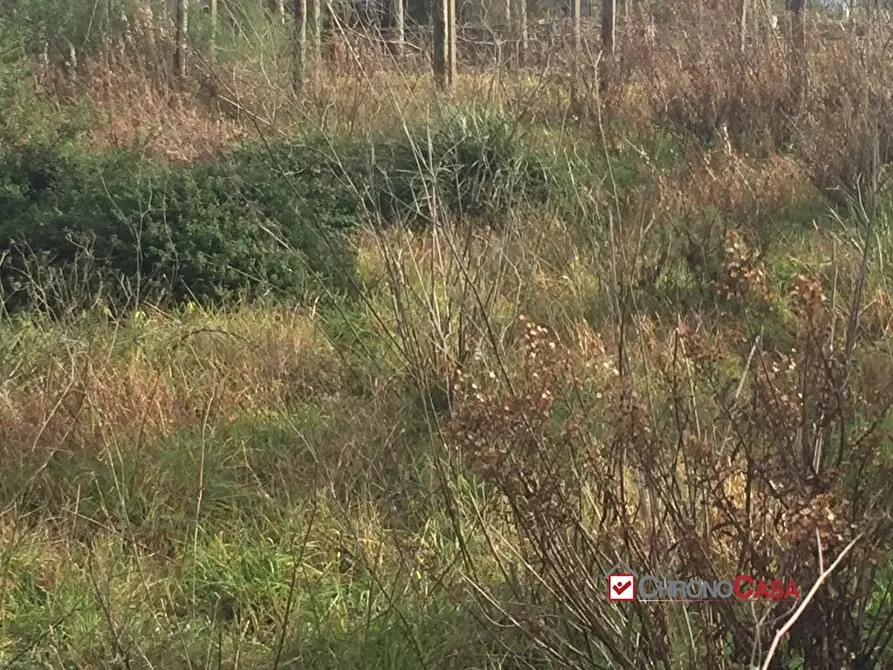 Immagine 2 di Terreno edificabile in vendita  a Messina