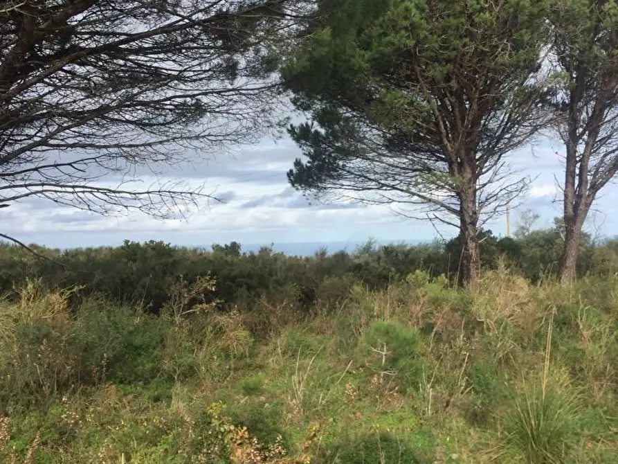 Immagine 6 di Terreno edificabile in vendita  a Messina