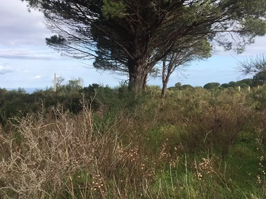 Immagine 3 di Terreno edificabile in vendita  a Messina