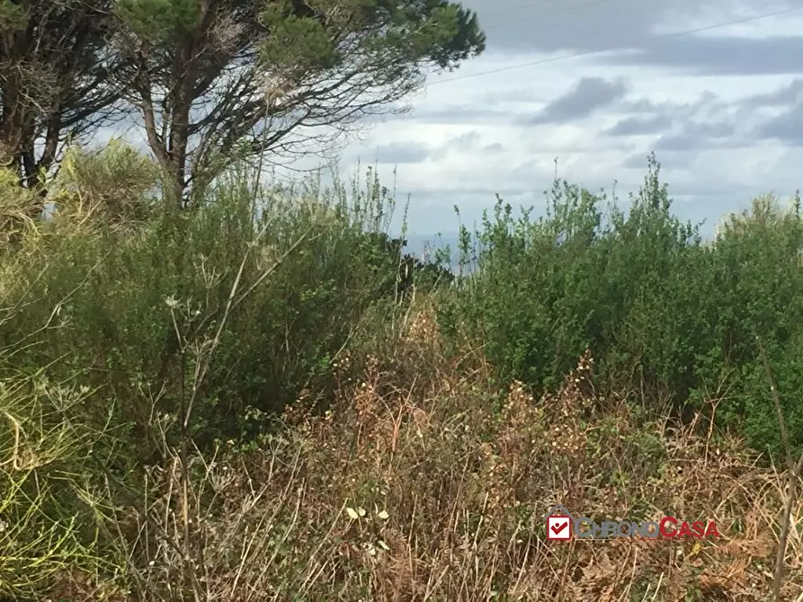 Immagine 4 di Terreno edificabile in vendita  a Messina