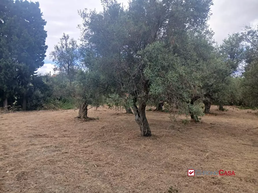 Immagine 8 di Terreno edificabile in vendita  a Caltagirone