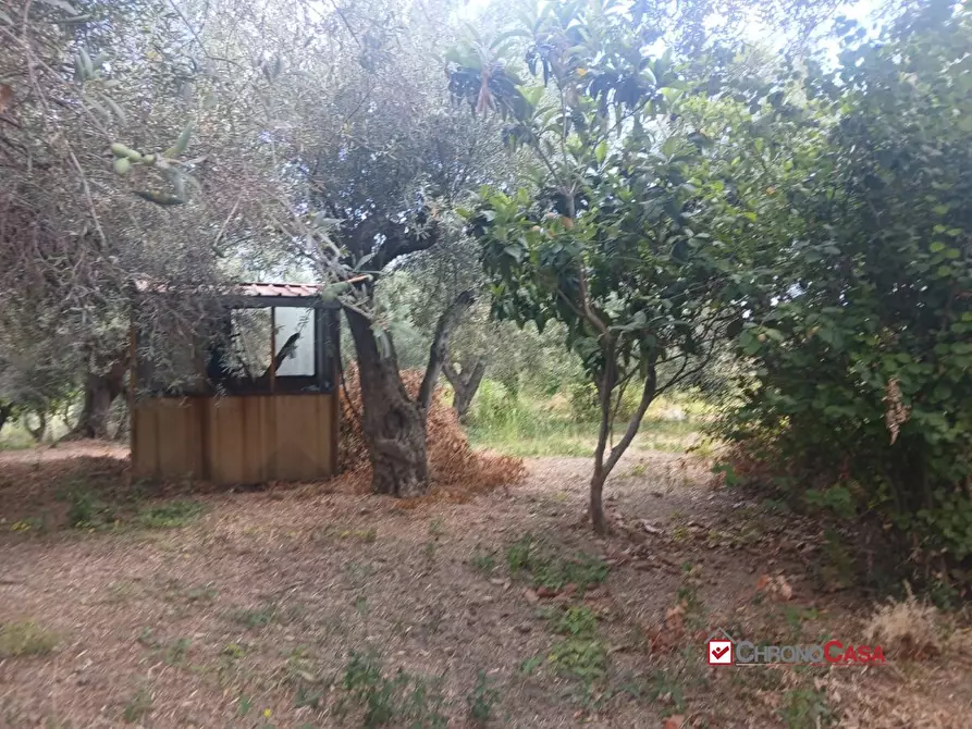 Immagine 10 di Terreno edificabile in vendita  a Caltagirone