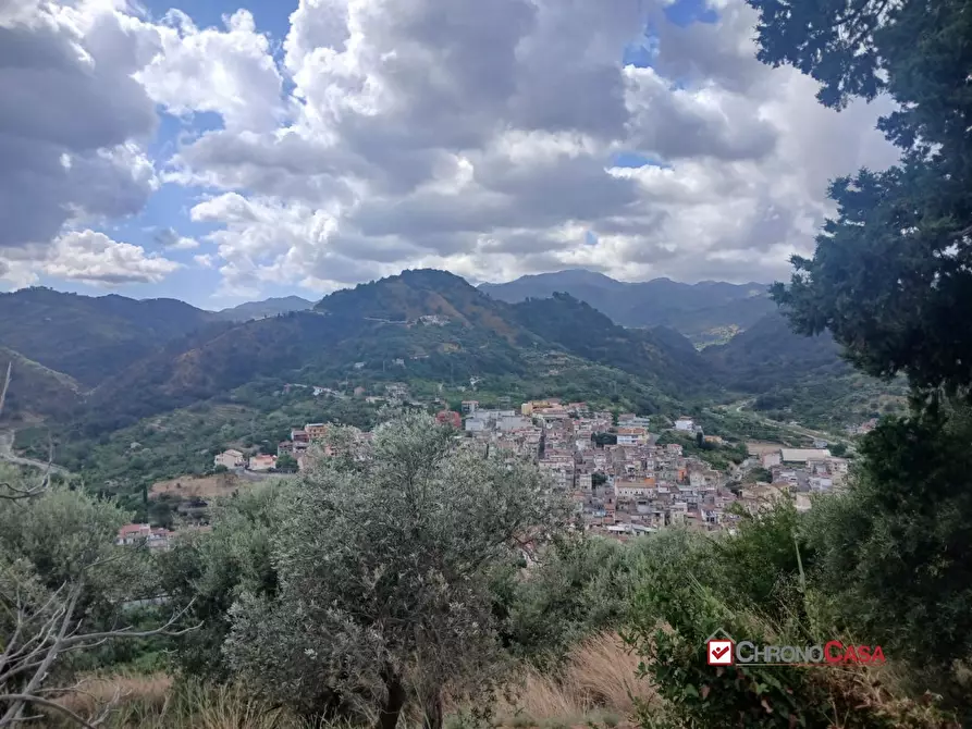 Immagine 6 di Terreno edificabile in vendita  a Caltagirone
