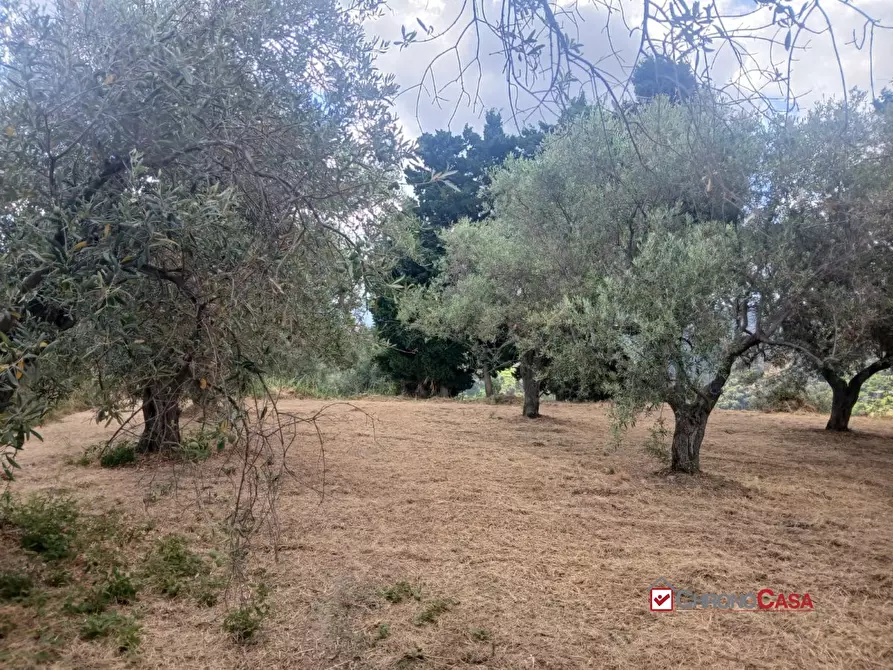Immagine 5 di Terreno edificabile in vendita  a Caltagirone