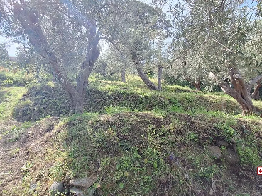Immagine 7 di Terreno edificabile in vendita  a Messina