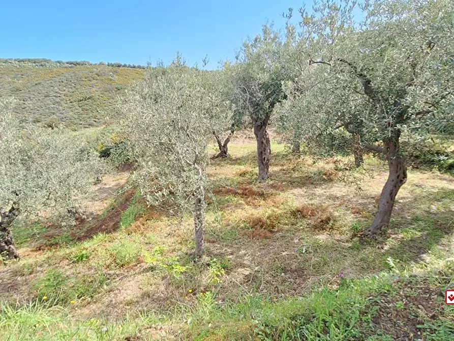 Immagine 6 di Terreno edificabile in vendita  a Messina