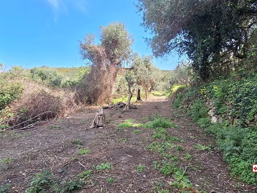 Immagine 4 di Terreno edificabile in vendita  a Messina
