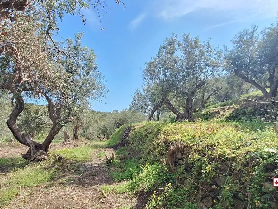 Immagine 3 di Terreno edificabile in vendita  a Messina