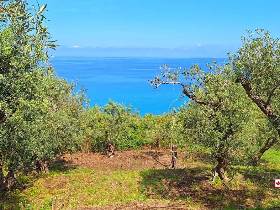 Immagine 1 di Terreno edificabile in vendita  a Messina