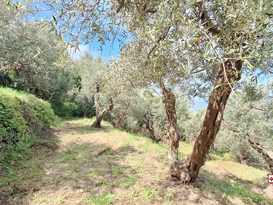 Immagine 9 di Terreno edificabile in vendita  a Messina