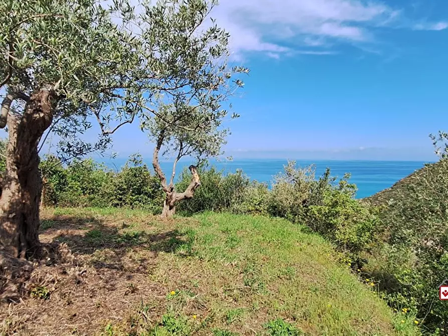 Immagine 5 di Terreno edificabile in vendita  a Messina