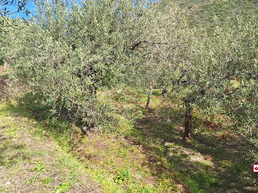 Immagine 8 di Terreno edificabile in vendita  a Messina