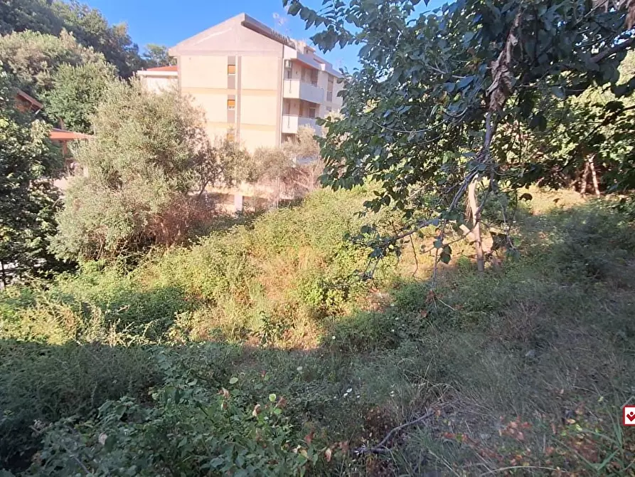Immagine 10 di Terreno edificabile in vendita  a Messina