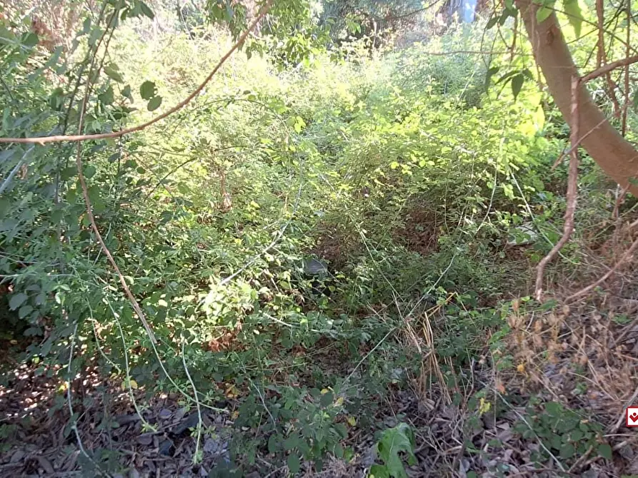 Immagine 8 di Terreno edificabile in vendita  a Messina