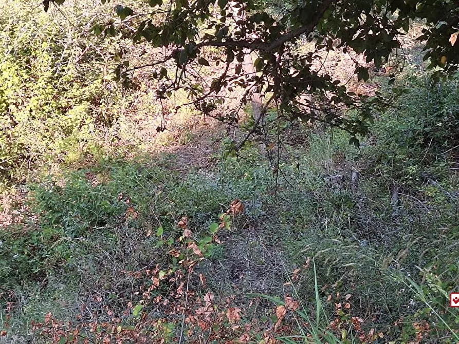 Immagine 9 di Terreno edificabile in vendita  a Messina