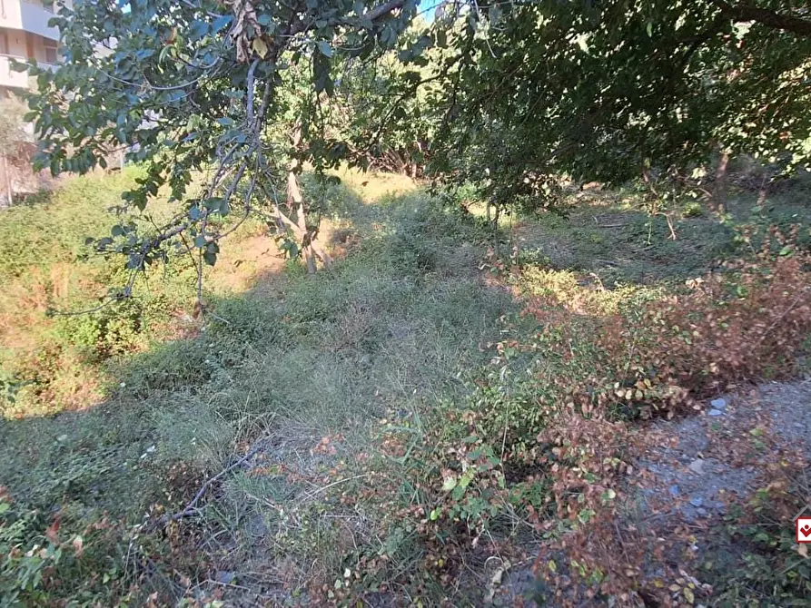 Immagine 4 di Terreno edificabile in vendita  a Messina