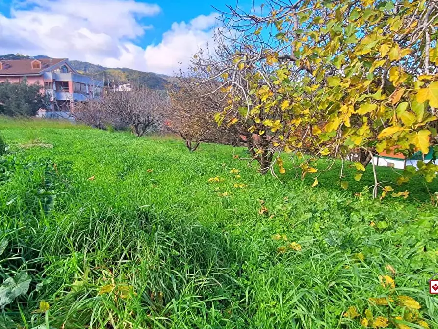 Immagine 7 di Terreno edificabile in vendita  a Messina