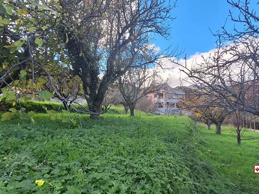 Immagine 10 di Terreno edificabile in vendita  a Messina