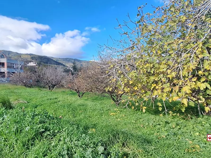 Immagine 8 di Terreno edificabile in vendita  a Messina