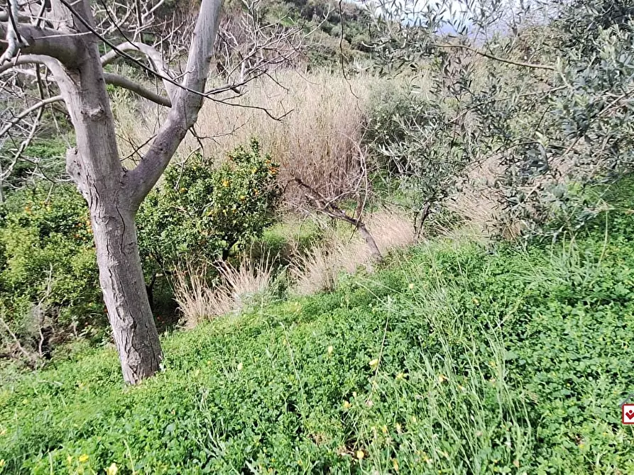 Immagine 8 di Terreno edificabile in vendita  a Rometta