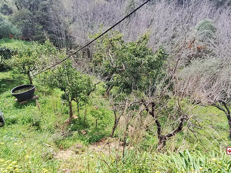 Immagine 9 di Terreno edificabile in vendita  a Rometta